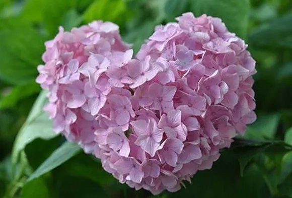 🏯 금선산 장경사 (킨센잔 조케이 지) 이미지 7